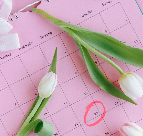 White Tulips on Pink Paper