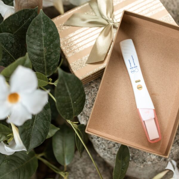 White Flower Beside Brown Box With Pregnancy Test