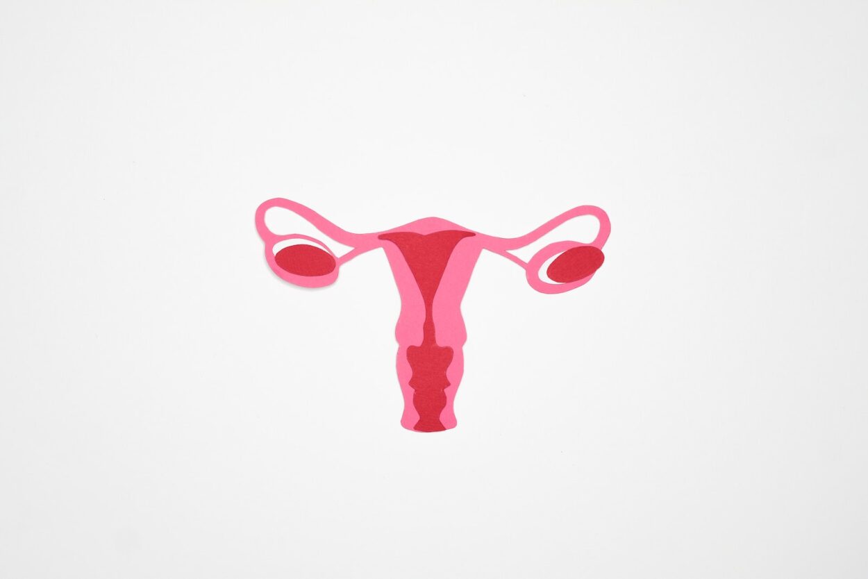 Graphic Art of a Woman's Ovary