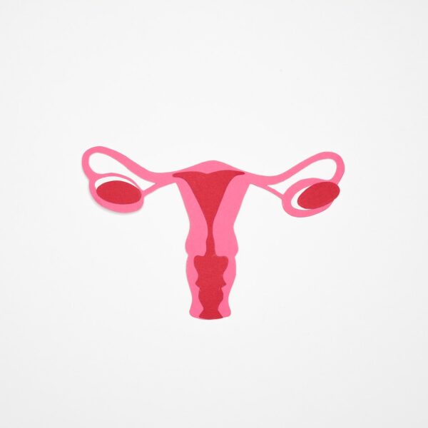 Graphic Art of a Woman's Ovary