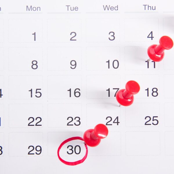 Close-up Photo of Red Pins on a Calendar